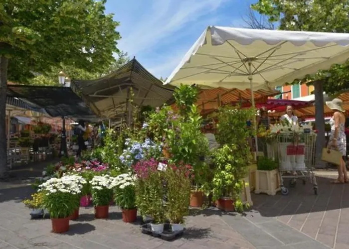 Jardin Tropical, Parking, Climatisation Appartement Nice